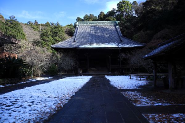 妙本寺 / Myohonji 2022/1/9