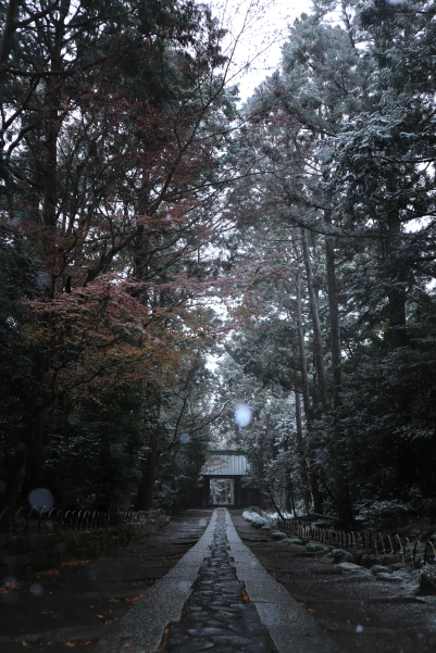 寿福寺 / Jufukuji