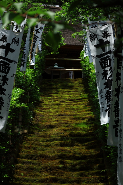 杉本寺 / Sugimotodera