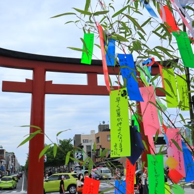 鶴岡八幡宮 / tsurugaokahachimangu 2022/7/3